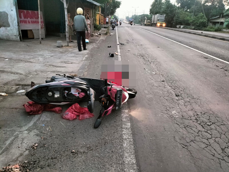 NAHAS: Korban tergeletak tak bernyawa di ruas Jalan Raya Jombang - Mojokerto, Desa Bejijong, Kecamatan Trowulan, Kamis (28/8) pagi.