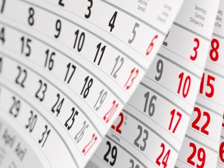 Jadwal Hari Libur dan Peringatan Nasional di Bulan September 2025