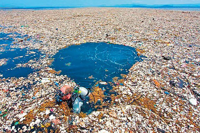 Kehidupan sehari-hari di dunia ini kerap kali melibatkan peran kemasan sebagai pelindung makanan maupun benda lainnya. Sumber foto: Google