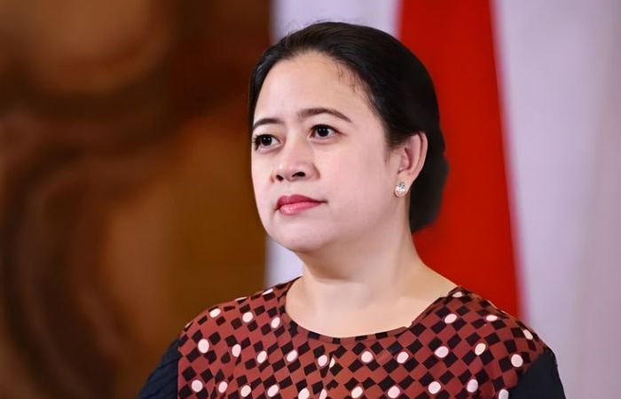 Sosok Puan Maharani