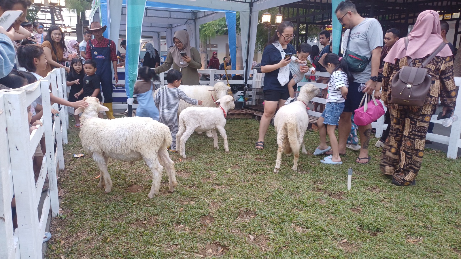 LEBIH DEKAT: Pengunjung anak-anak dengan leluasa memberi makan dan bersentuhan langsung dengan binatang di Semeru Feeding Animal.
