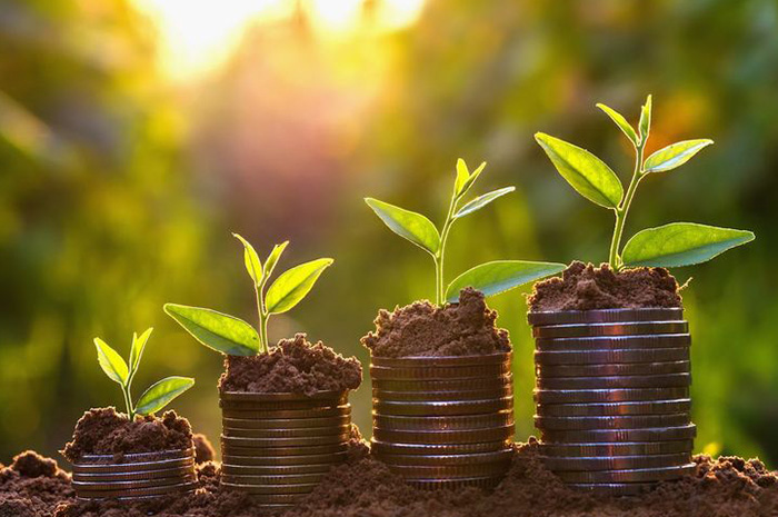 Generasi Z dikenal sebagai generasi yang adaptif terhadap teknologi sekaligus memiliki pola pikir yang berbeda dibanding generasi sebelumnya.  sumber foto: pinterets