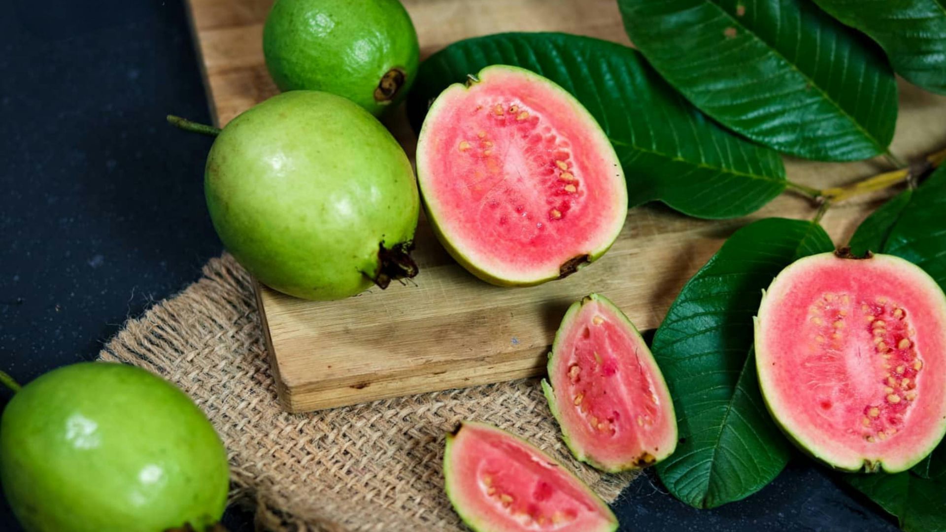 Tanaman yang mudah ditemui ini mengandung senyawa bioaktif seperti flavonoid, vitamin C, tanin, dan antioksidan yang berperan dalam menjaga dan meningkatkan kesehatan secara menyeluruh.