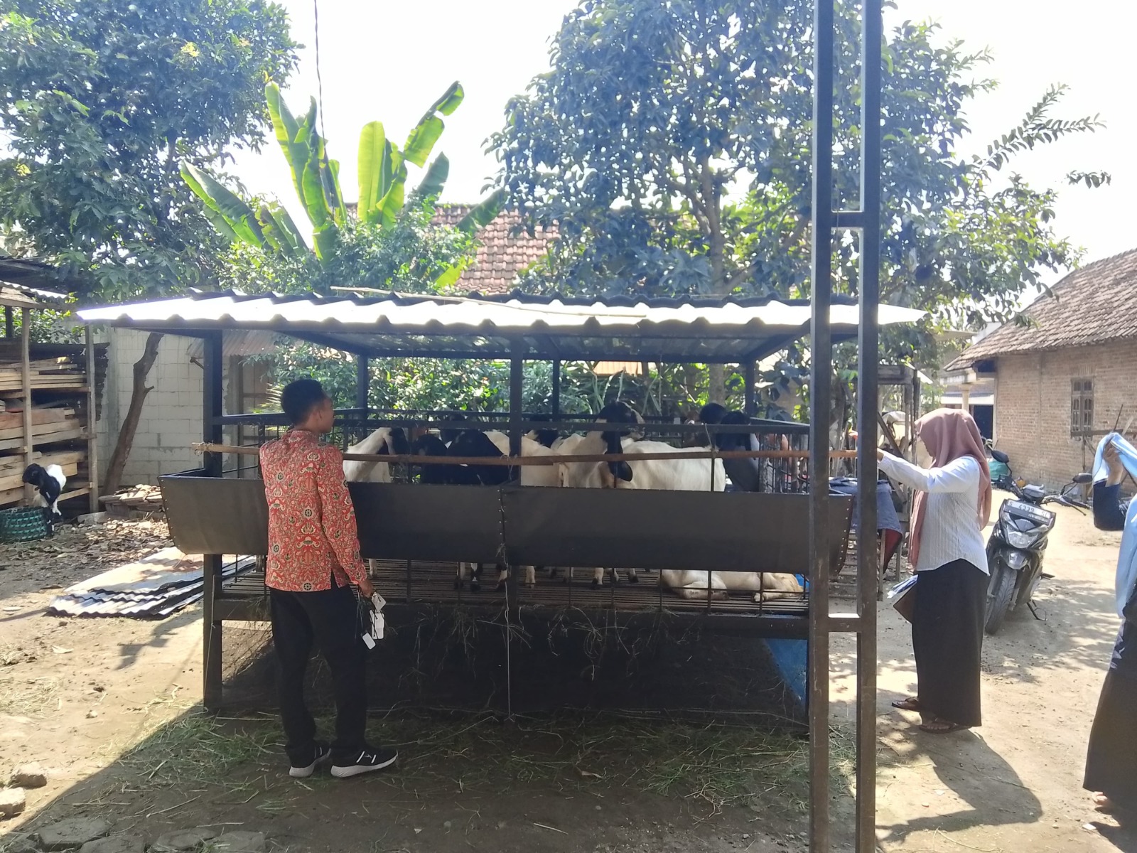 DUKUNG PEMERINTAH: Program ketahanan pangan BUMDes Arta Lindra milik Pemdes Lakardowo, Kecamatan Jetis, didirikan untuk meningkatkan kesejahteraan masyarakat.