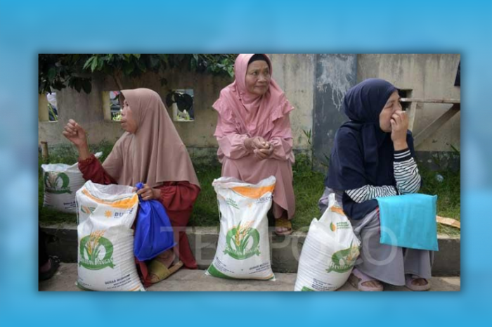 Bansos beras 10 kg resmi diperpanjang hingga akhir 2025. Cek status penerimaan Anda!