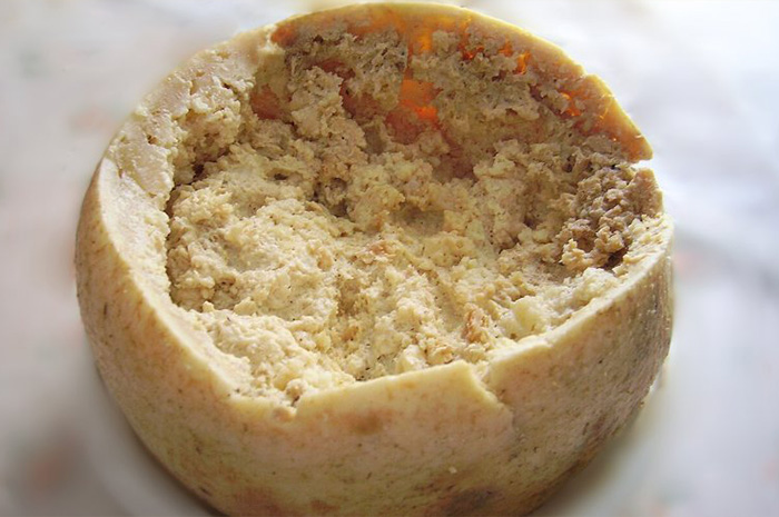 Dunia kuliner kembali menyoroti makanan paling unik sekaligus paling kontroversial di dunia asal Sardinia, Italia, yaitu Casu Marzu.  Sumber foto: Google