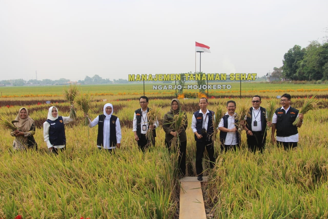 PERCONTOHAN: Gubernur Jatim Khofifah Indar Parawansa hadir dalam kegiatan temu lapang sekaligus pembukaan pencanangan penerapan MTS Jatim di Desa Ngarjo, Kecamatan Mojoanyar, beberapa waktu lalu.
