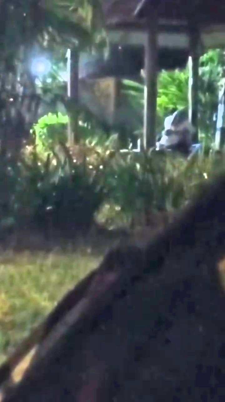 SALAH TEMPAT: Tangkapan layar video amatir menunjukkan sejoli muda-mudi sedang bercumbu di salah satu gazebo Taman Lalu Lintas, Kelurahan Wonokusumo, Kecamatan Mojosari, Sabtu (27/9) dini hari.