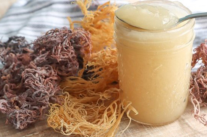 Dalam beberapa tahun terakhir, dunia kesehatan dan gaya hidup alami tengah diramaikan dengan kemunculan berbagai jenis superfood. Sumber Foto: Google