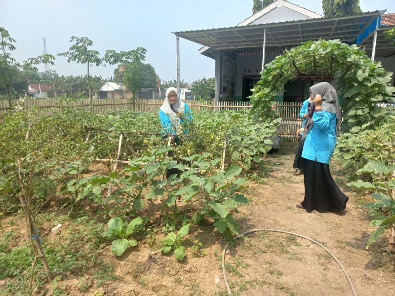 SEMRINGAH: Para kader P2L Mawar Berseri Desa Kemantren, Kecamatan Gedeg memanen sayuran dan rempah yang ditanam di lahan pekarangan.