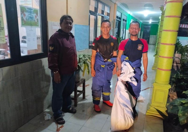MERESAHKAN: Petugas Damkar BPBD Kota Mojokerto mengevakuasi sarang tawon vespa di SDN Mentikan 3, Kecamatan Prajurit Kulon, Senin (6/10) malam.