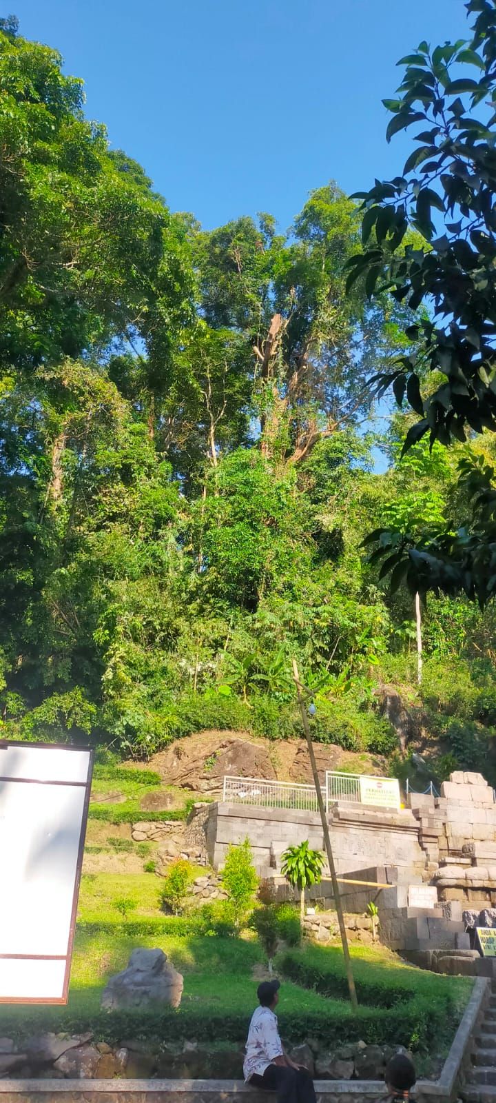 DIKEPRAS: Pohon di atas kompleks Petirtaan Jolotundo, Desa Seloliman, Kecamatan Trawas, dipangkas menjelang musim penghujan.