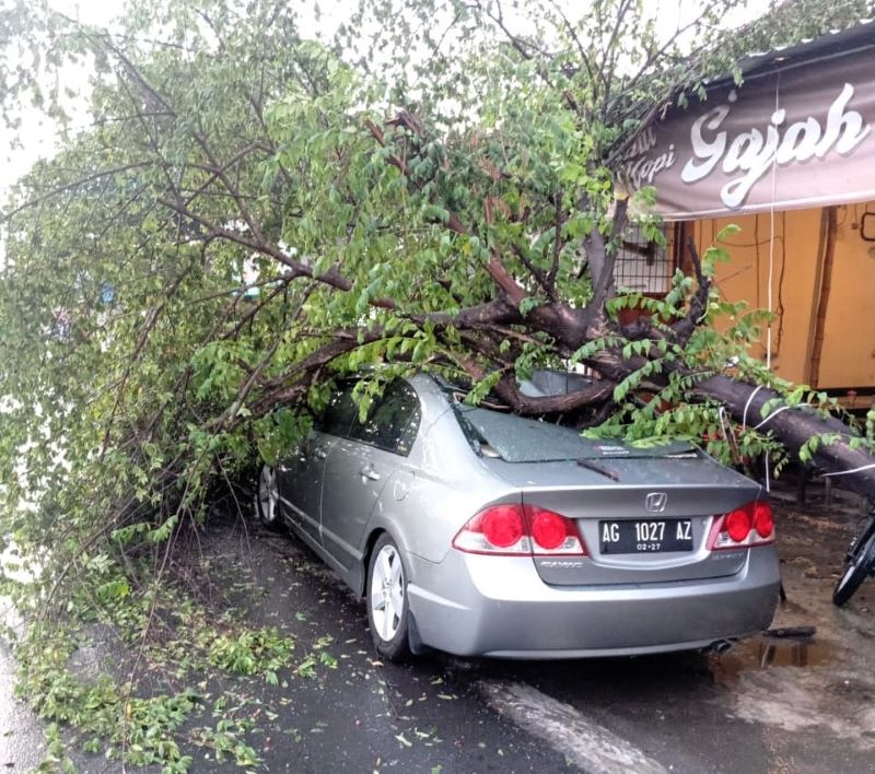 TIMPA MOBIL: Petugas mengevekuasi pohon tumbang di Jalan Raya Mlirip, Kecamatan Jetis, Kabupaten Mojokerto, kemarin (8/10).