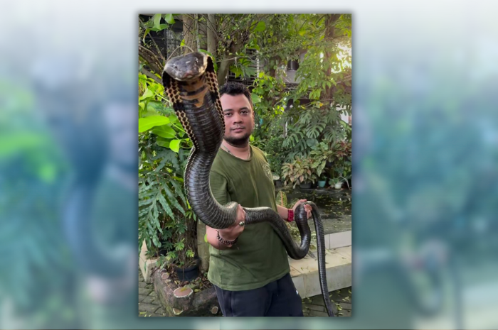 Panji Petualang beri tanggapan soal tewasnya Abah Ocang akibat duel dengan King Kobra.