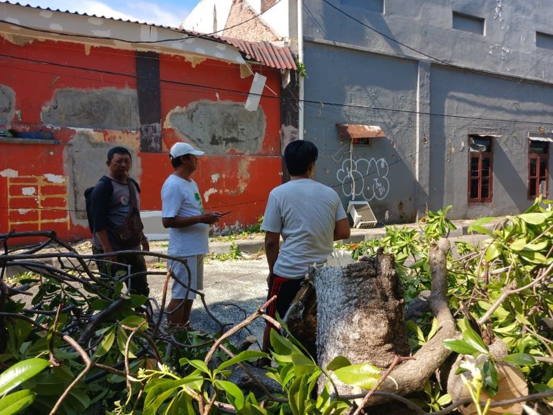 TERDAMPAK: Kondisi atap SMPN 7 Mojokerto yang rusak setelah tertimpa pohon tumbang di Jalan Karyawan, Kota Mojokerto, kemarin (12/10).