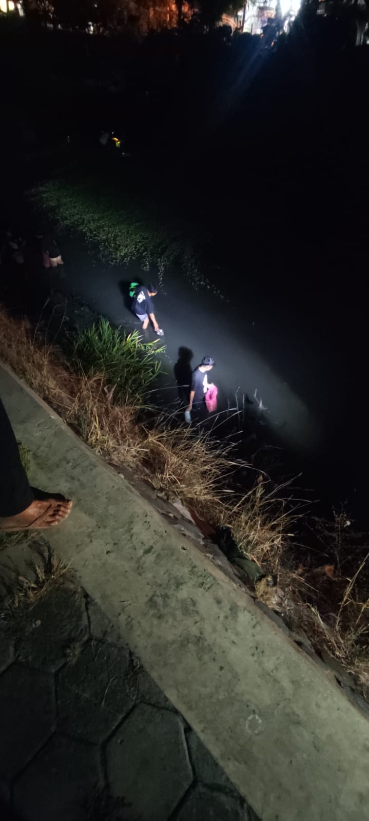 FENOMENA: Warga cari ikan di Kali Sadar yang surut