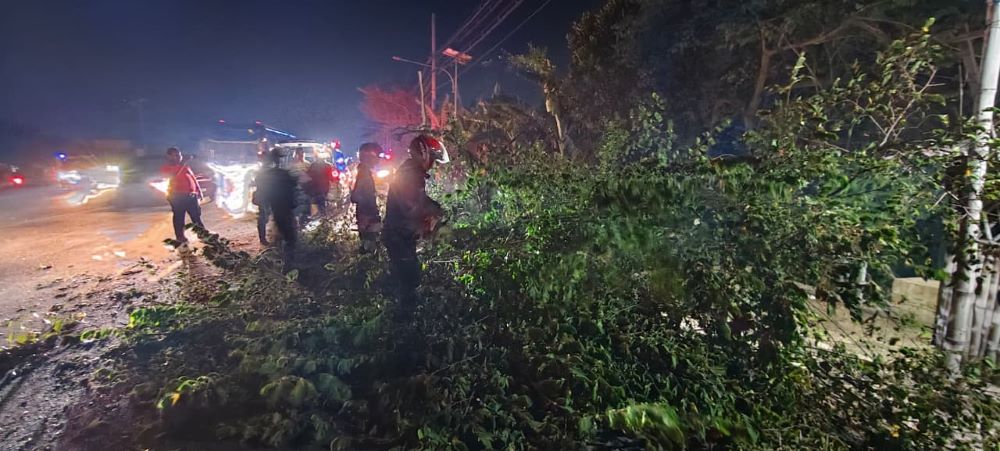 PENANGANAN: Petugas BPBD membersihkan batang pohon tumbang di Jalan Raya Bypass Desa Kenanten, Kecamatan Puri, Sabtu (18/10) malam.