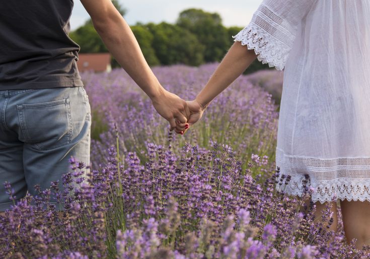 Lavender Marriage, Pernikahan Kedok di Balik Tekanan Sosial dan Orientasi Seksual (sumber foto: Pinterest)
