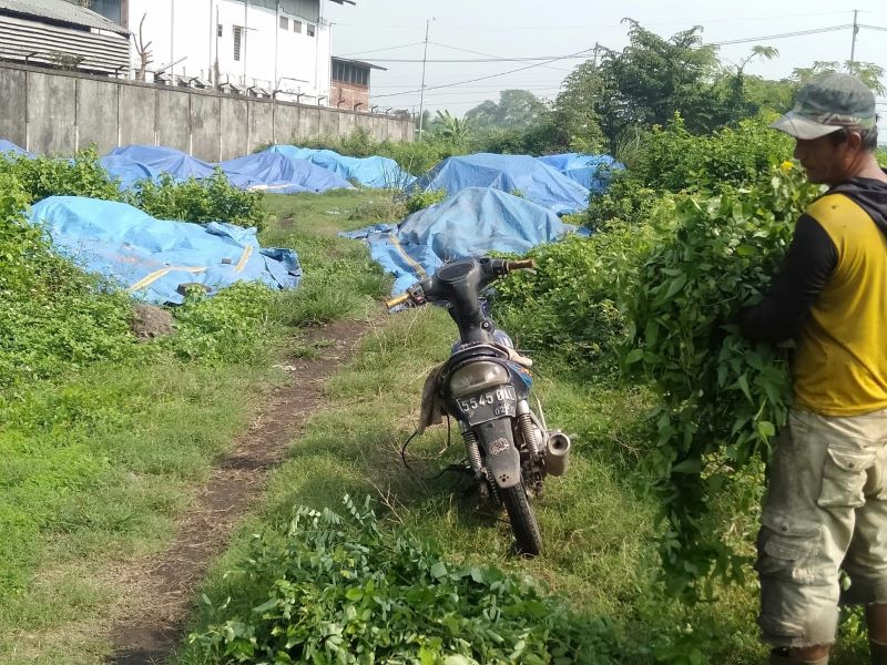 DUMPING LIMBAH: Dinas Lingkungan Hidup Kabupaten Mojokerto melakukan penangkapan awal dumping limbah diduga B3 di Desa Bangun, Kecamatan Pungging.