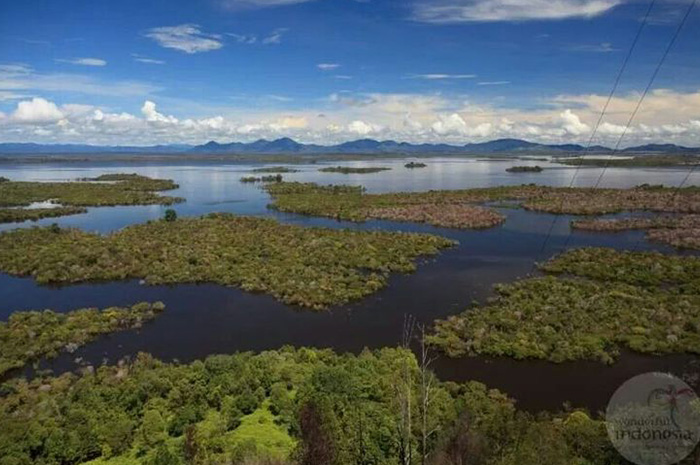 Danau Sentarum adalah salah satu kawasan alam paling unik dan berharga di Indonesia. sumber foto: pinterest