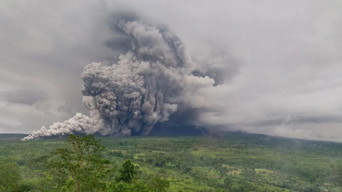 Semeru Erupsi! Kolom Abu 2.000 Meter, Zona Bahaya Diperluas Hingga 8 Km