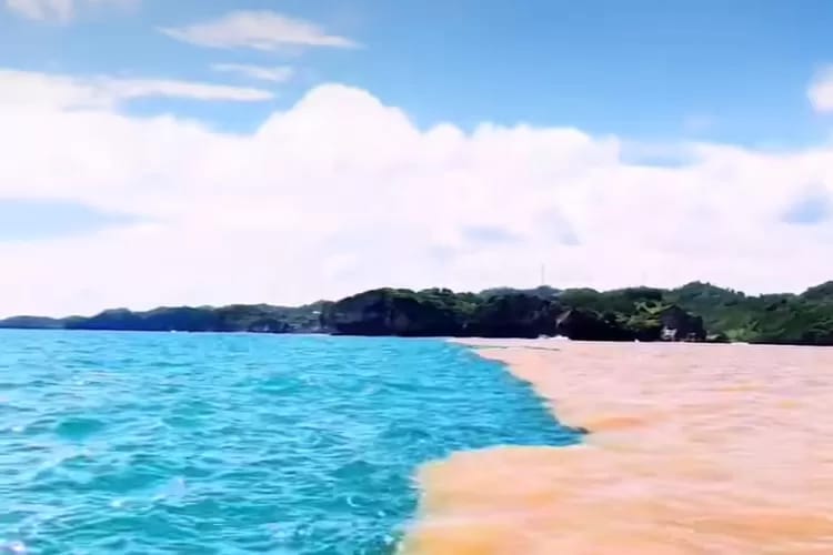 Fenomena langka yang memukau kembali terjadi di Pantai Baron, Gunungkidul