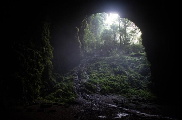 Goa Jomblang di Yogyakarta merupakan salah satu destinasi alam yang paling memukau karena menawarkan pengalaman menjelajahi goa vertikal yang jarang ditemukan di tempat lain. sumber foto: pinterest