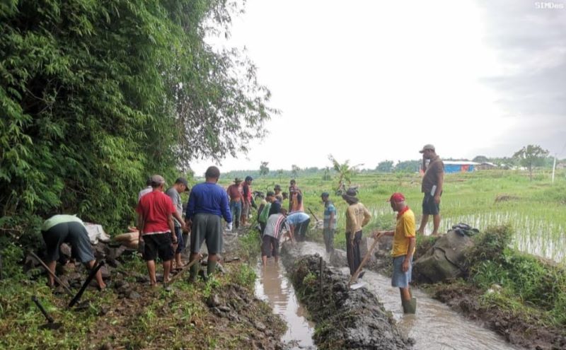 DIBERDAYAKAN: Warga mengikuti program padat karya di Dusun Slawe, Desa Padi, Kecamatan Gondang, Sabtu (15/11).