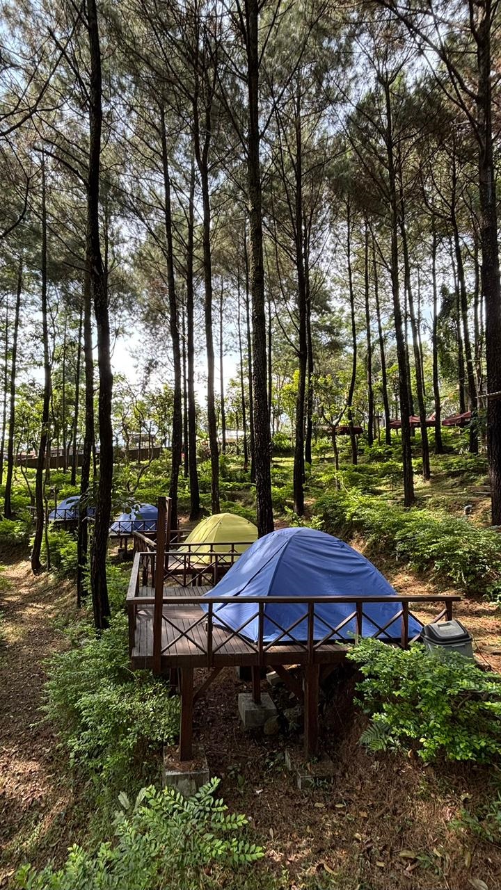 NYAMAN: Alas Pacet menyediakan tenda hingga kabin kayu untuk glamping.