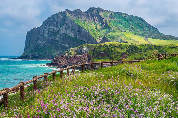 Pulau Jeju merupakan salah satu destinasi wisata paling terkenal di Korea Selatan, dikenal sebagai surga tropis yang menawarkan keindahan alam luar biasa. sumber foto: pinterest