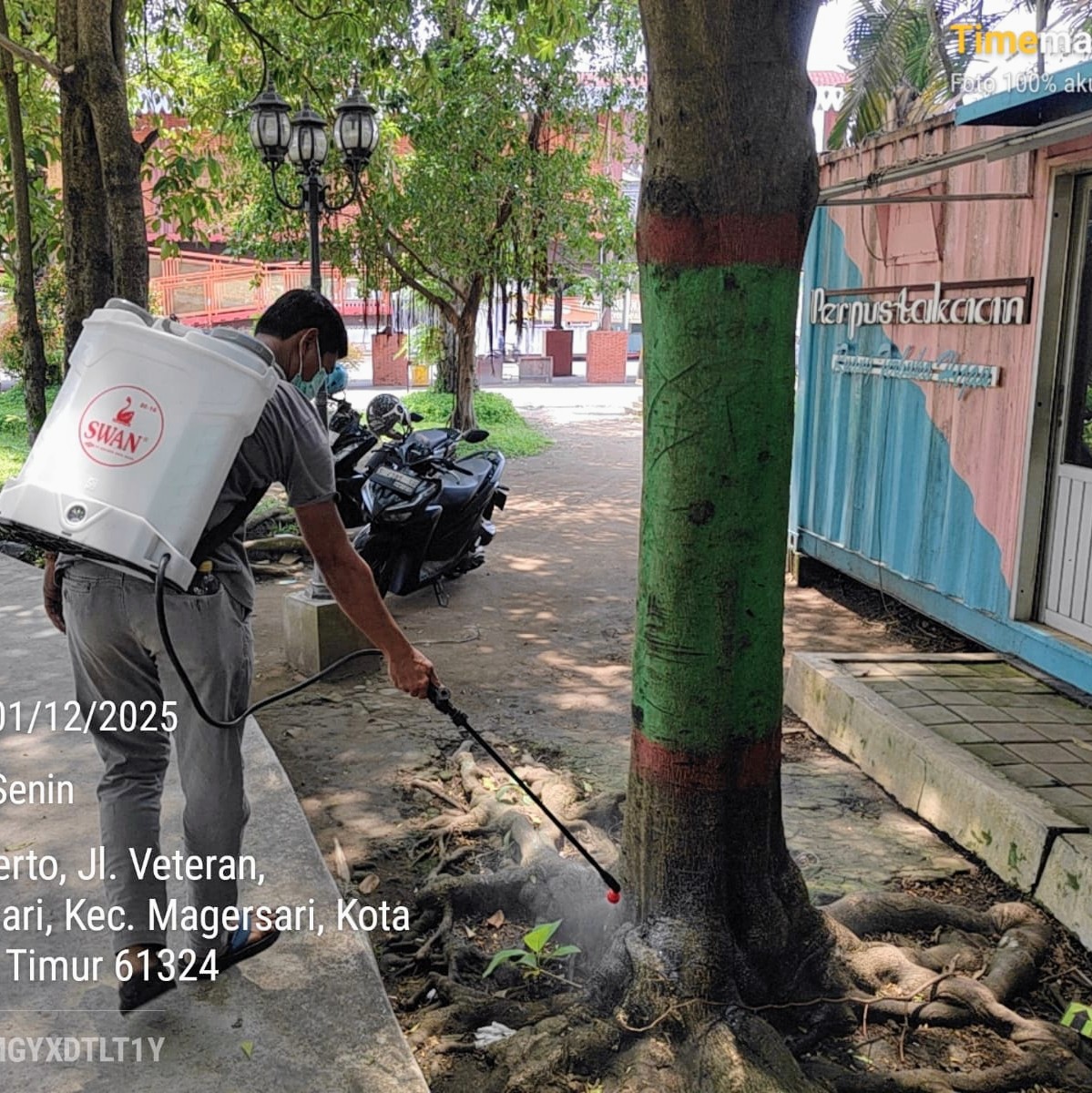 DISEMPROT: Petugas DKPP Kota Mojokerto menanggulangi hama ulat bulu di Jalan Cakarayam dan alun-alun dengan menyemprot disinfektan, Senin (1/12).