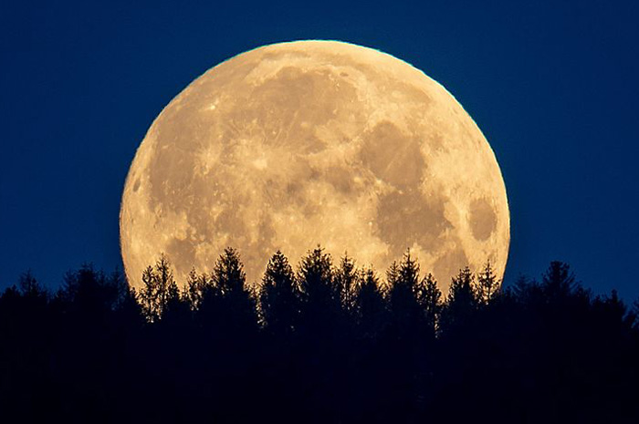 Fenomena Cold Moon yang akan terjadi pada 4 Desember 2025 menjadi salah satu peristiwa langit yang paling dinantikan pada akhir tahun. sumber foto: pinterest