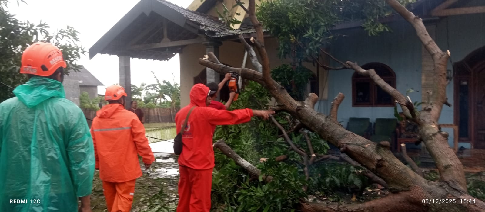 TERDAMPAK: Petugas BPBD Kabupaten Mojokerto melakukan proses evakuasi pohon tumbang akibat angin kencang di Desa Kertosari, Kecamatan Kutorejo, Rabu (3/12) sore.