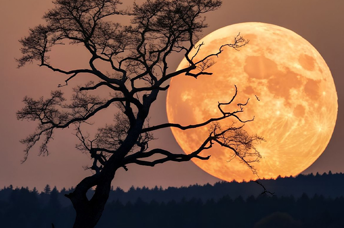 Para penikmat astronomi sedang ramai menunggu fenomena Supermoon yang diprediksi akan muncul pada tanggl 5 Desember 2025 mendatang. Sumber foto: Google