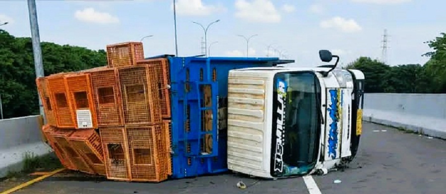 MELINTANG: Truk nopol H 1813 GL muatan ayam terguling saat melintas di exit gerbang tol Penompo, Kabupaten Mojokerto, Sabtu (6/12).