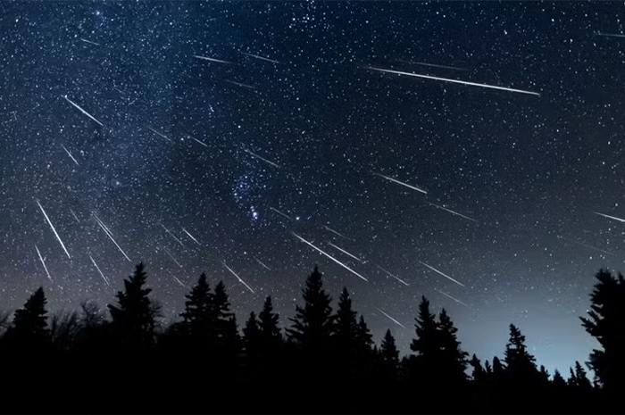 Fenomena hujan meteor selalu menjadi salah satu sorotan besar yang dinantikan oleh banyak orang, terutama para penggemar astronomi. Sumber foto: Google
