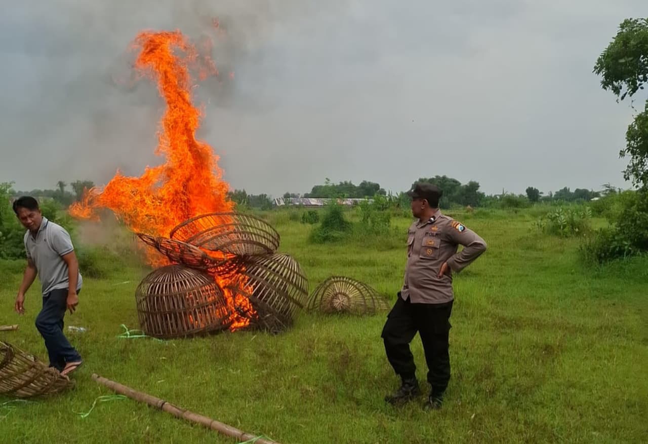 DIGEREBEK: Petugas Polsek Kutorejo memusnahkan arena sabung dan kandang ayam di Desa Pesanggrahan, Kecamatan Kutorejo, Kabupaten Mojokerto.