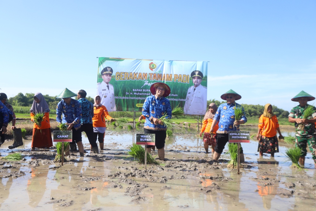 KETAHANAN PANGAN: Wabup dr. M. Rizal Oktavian didampingi Kadisperta Ludfi Ariyono menanam padi bersama para petani di Desa Sumberwuluh, Kecamatan Dawarblandong, kemarin (17/12).