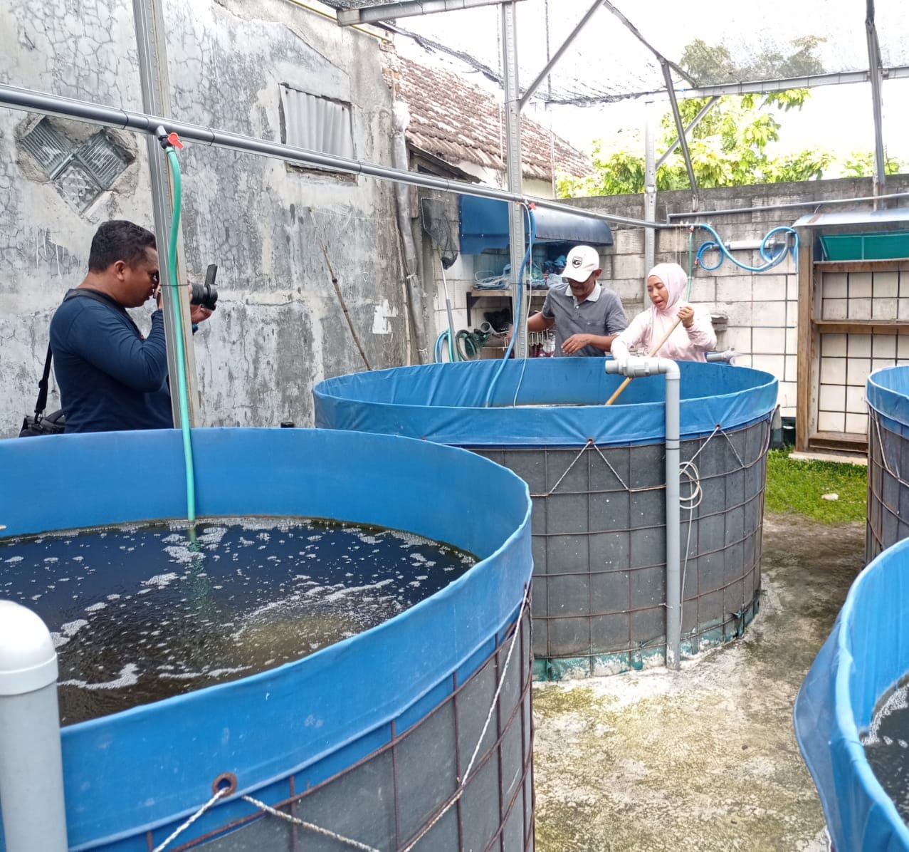 DIKEMBANGKAN: Wali Kota Mojokerto Ika Puspitasari meninjau tempat budi daya lele warga.