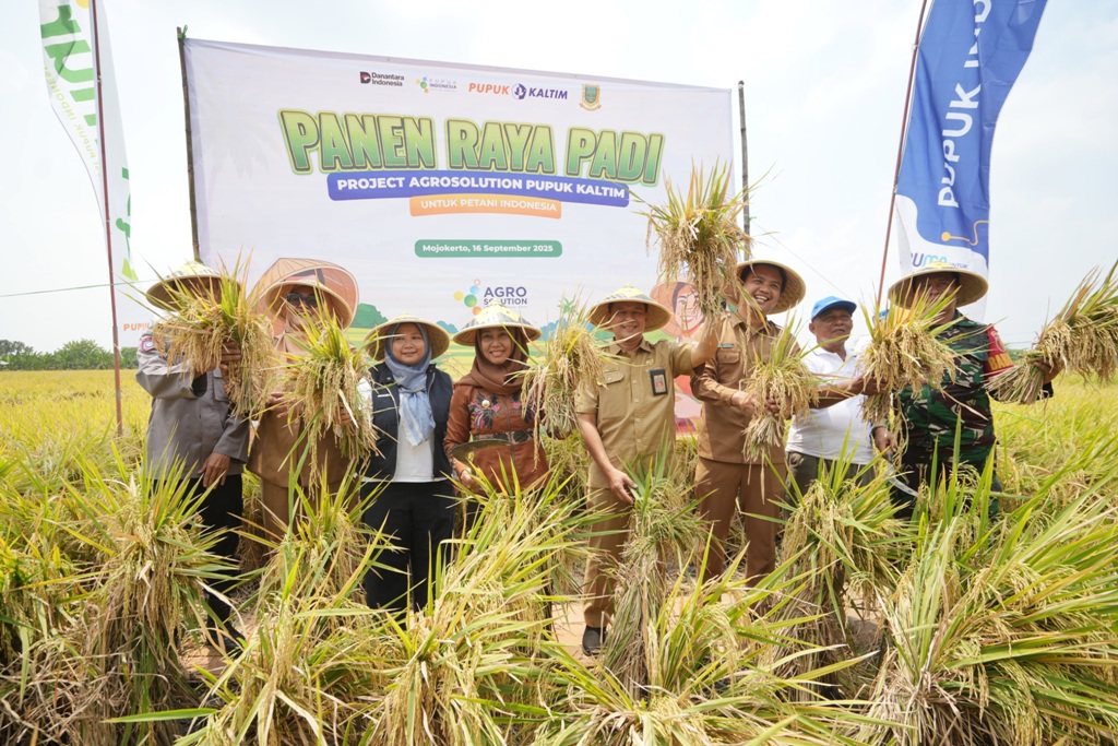TINGKATKAN PRODUKTIVITAS: Wali Kota Mojokerto didampingi Kepala DKPP Kota Mojokerto Novi Rahardjo melaksanakan panen raya padi bersama PT Pupuk Kaltim di Kelurahan Gunung Gedangan, 16 September 2025.