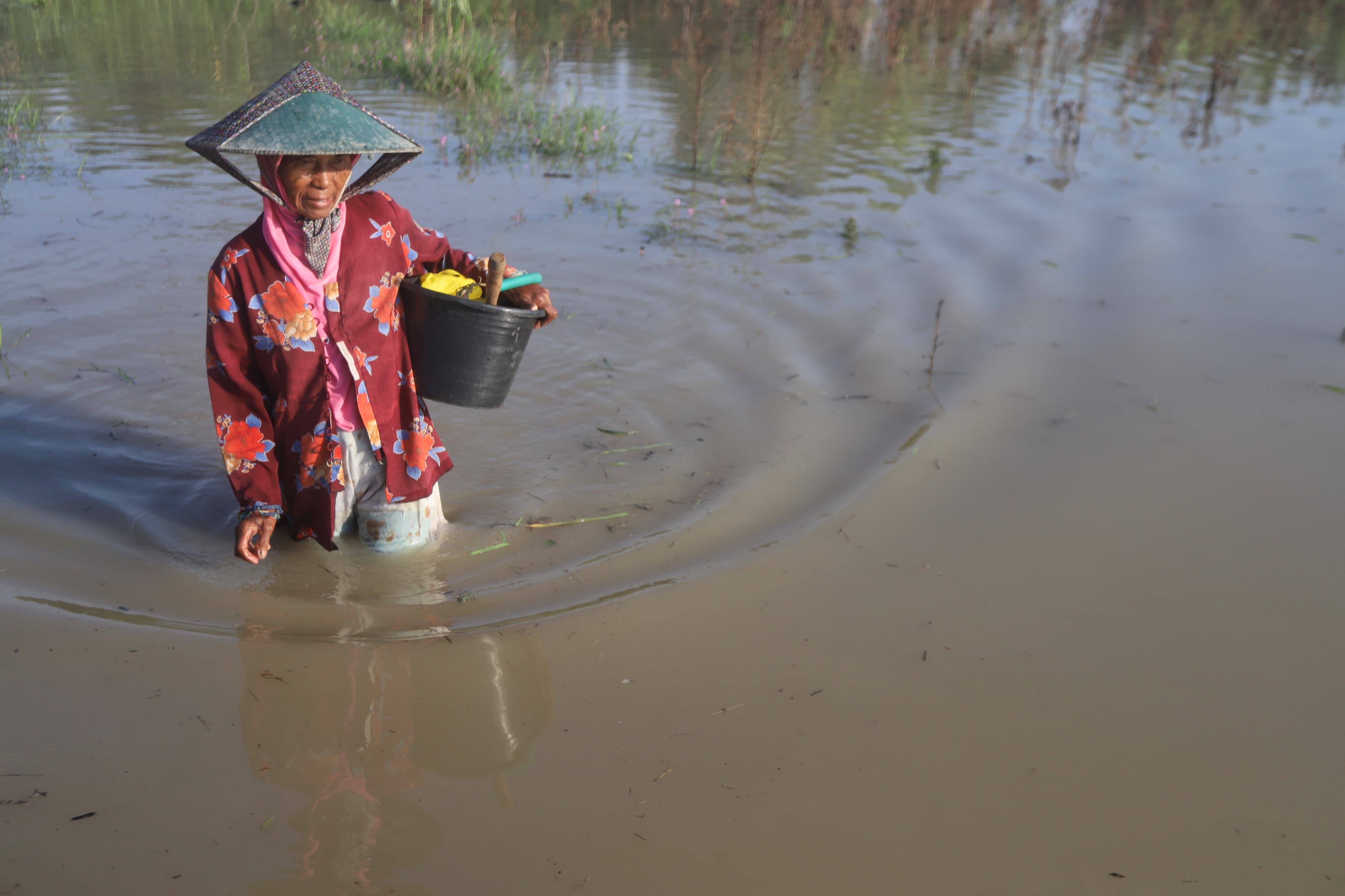 BANJIR MUSIMAN: Seorang petani melintasi banjir luapan Kali Lamong di Desa Pulorejo, Kecamatan Dawarblandong, Kabupaten Mojokerto, Minggu (21/12).