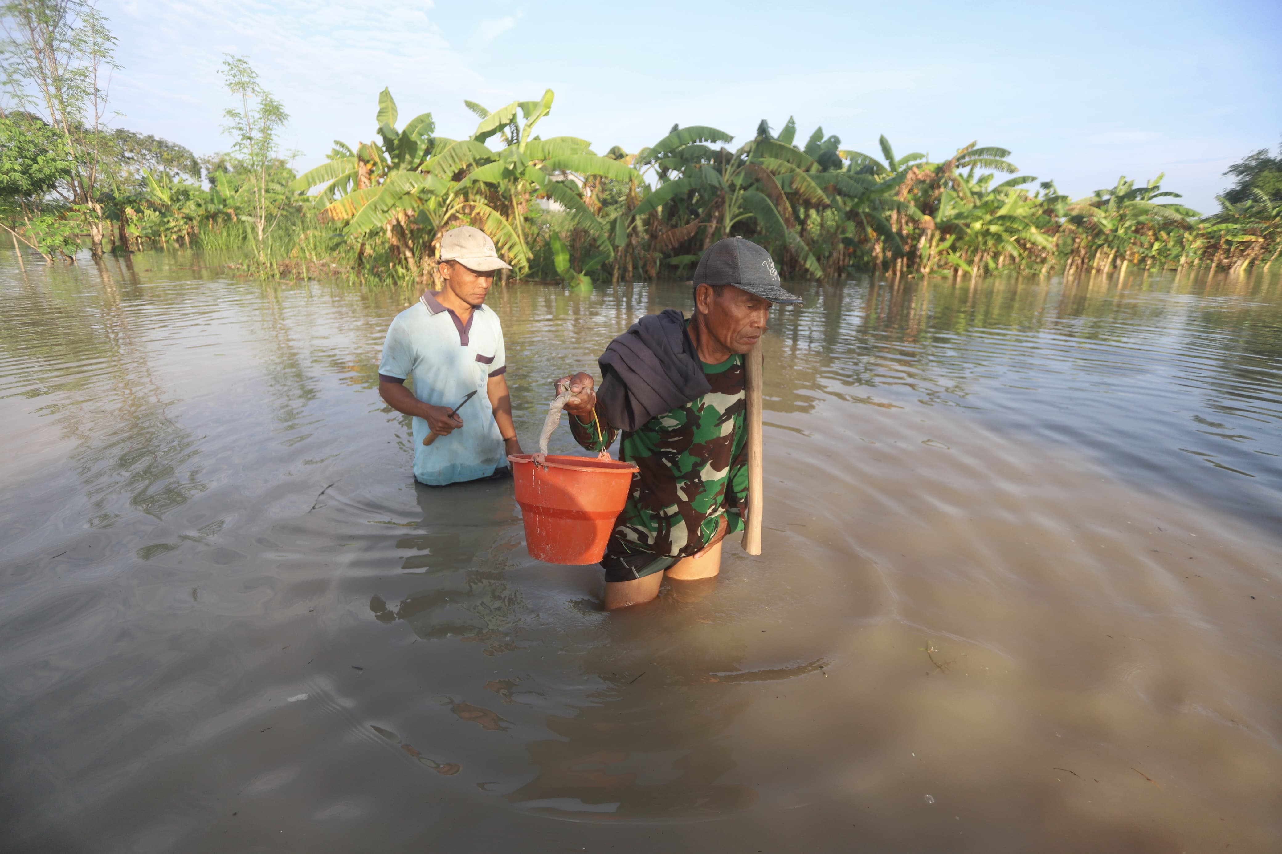 BANJIR MUSIMAN: Seorang petani melintasi banjir luapan Kali Lamong di Desa Pulorejo, Kecamatan Dawarblandong, Kabupaten Mojokerto, Minggu (21/12).