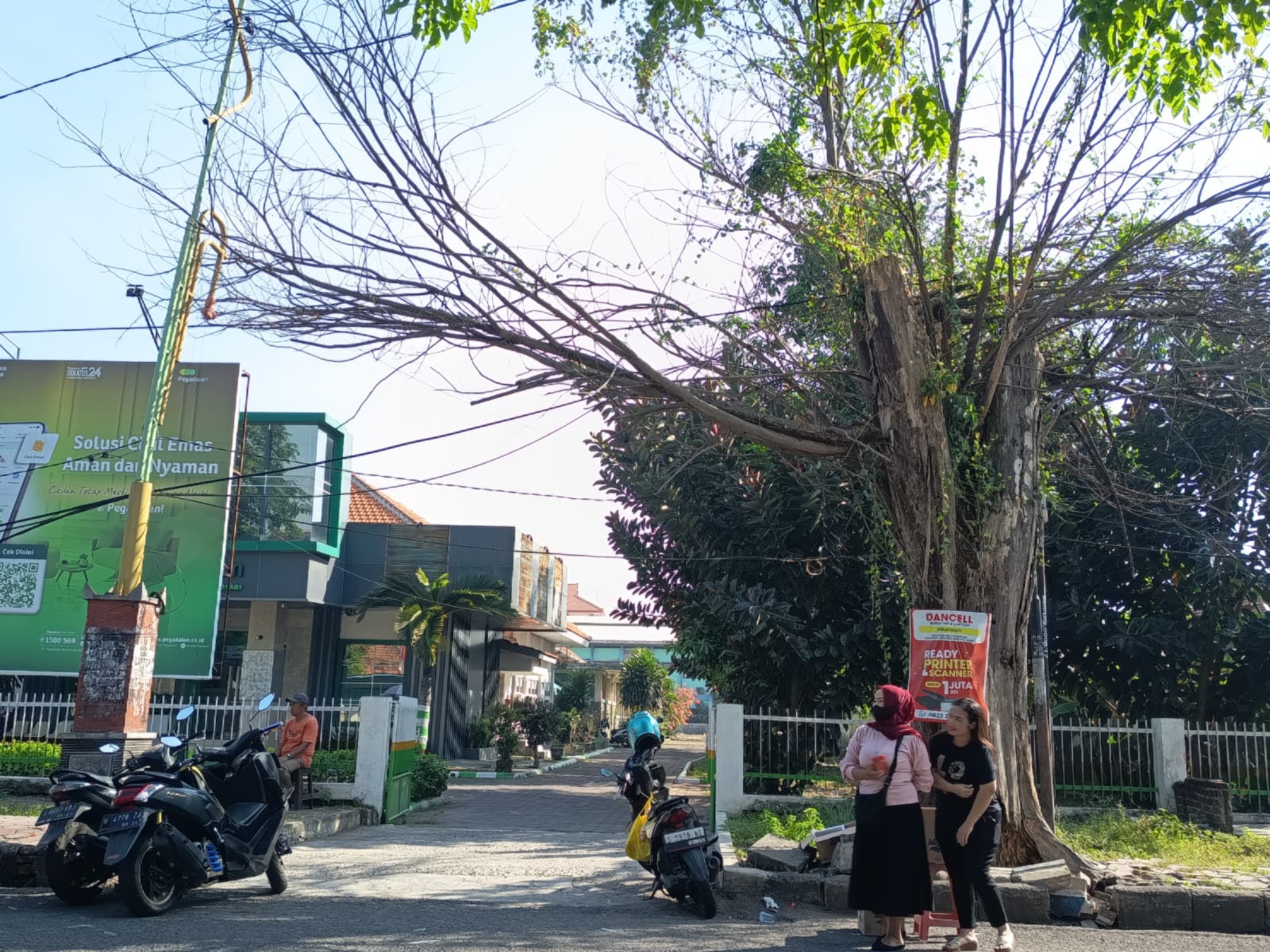 DIEKSEKUSI: Pohon di Jalan Masjid, Kelurahan/Kecamatan Mojosari, Kabupaten Mojokerto telah ditebang karena membahayakan dan rawan tumbang, kemarin (6/1).