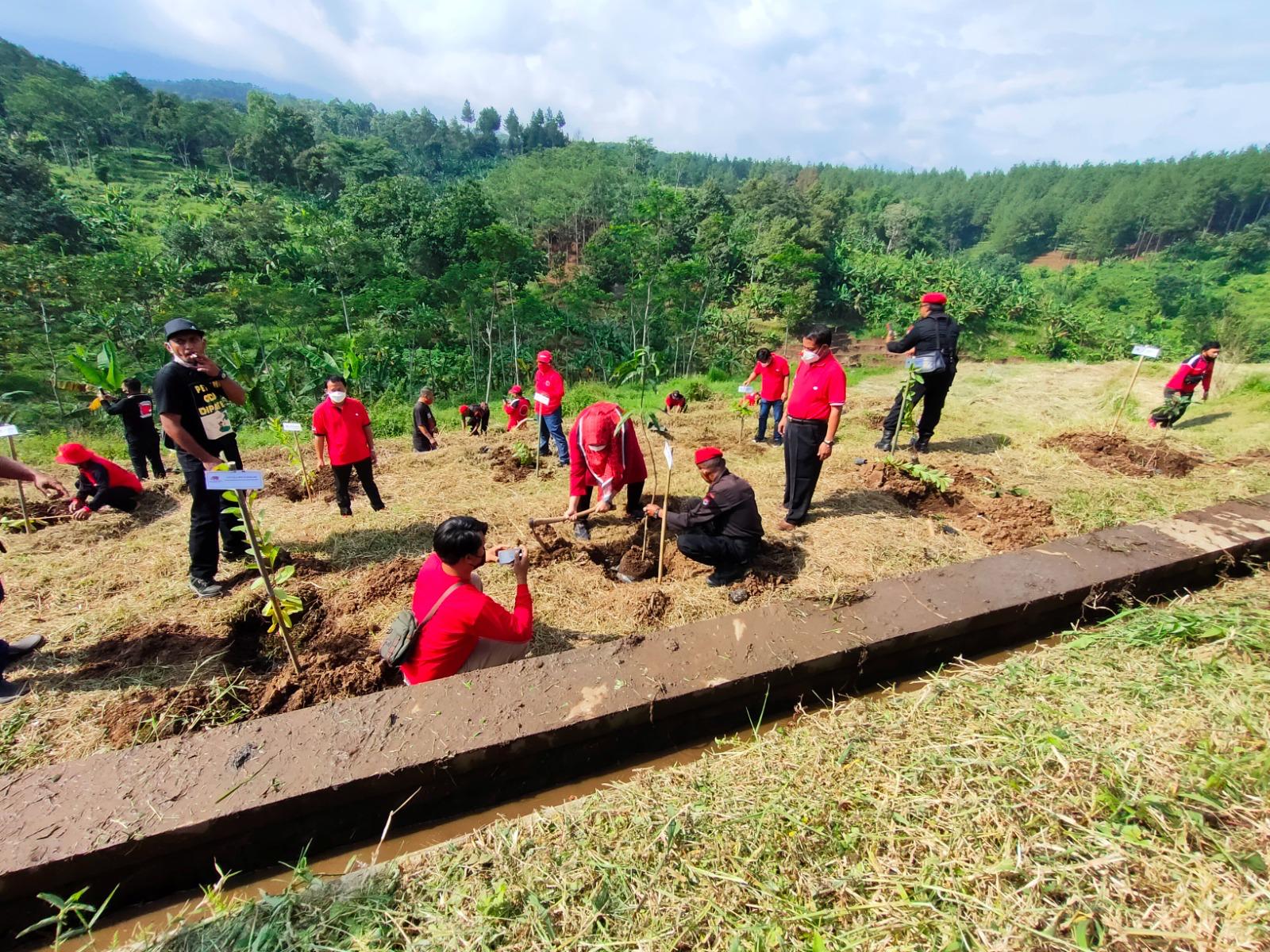 Fraksi PDI Perjuangan DPRD Kabupaten Mojokerto melakukan aksi nyata pelestarian alam. Partai berlambang banteng moncong putih ini berkomitmen menjaga ekosistem lingkungan.
