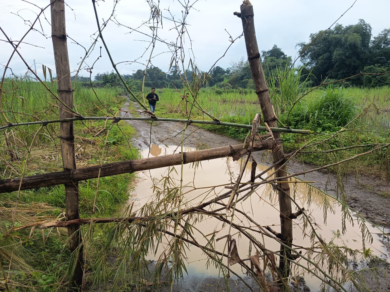SEMBARANGAN: Tumpukan limbah diduga kotoran ternak di lahan eks galian C di perbatasan Desa Sawo dan Desa Wonodadi, Kecamatan Kutorejo, Kabupaten Mojokerto, kemarin (8/1).