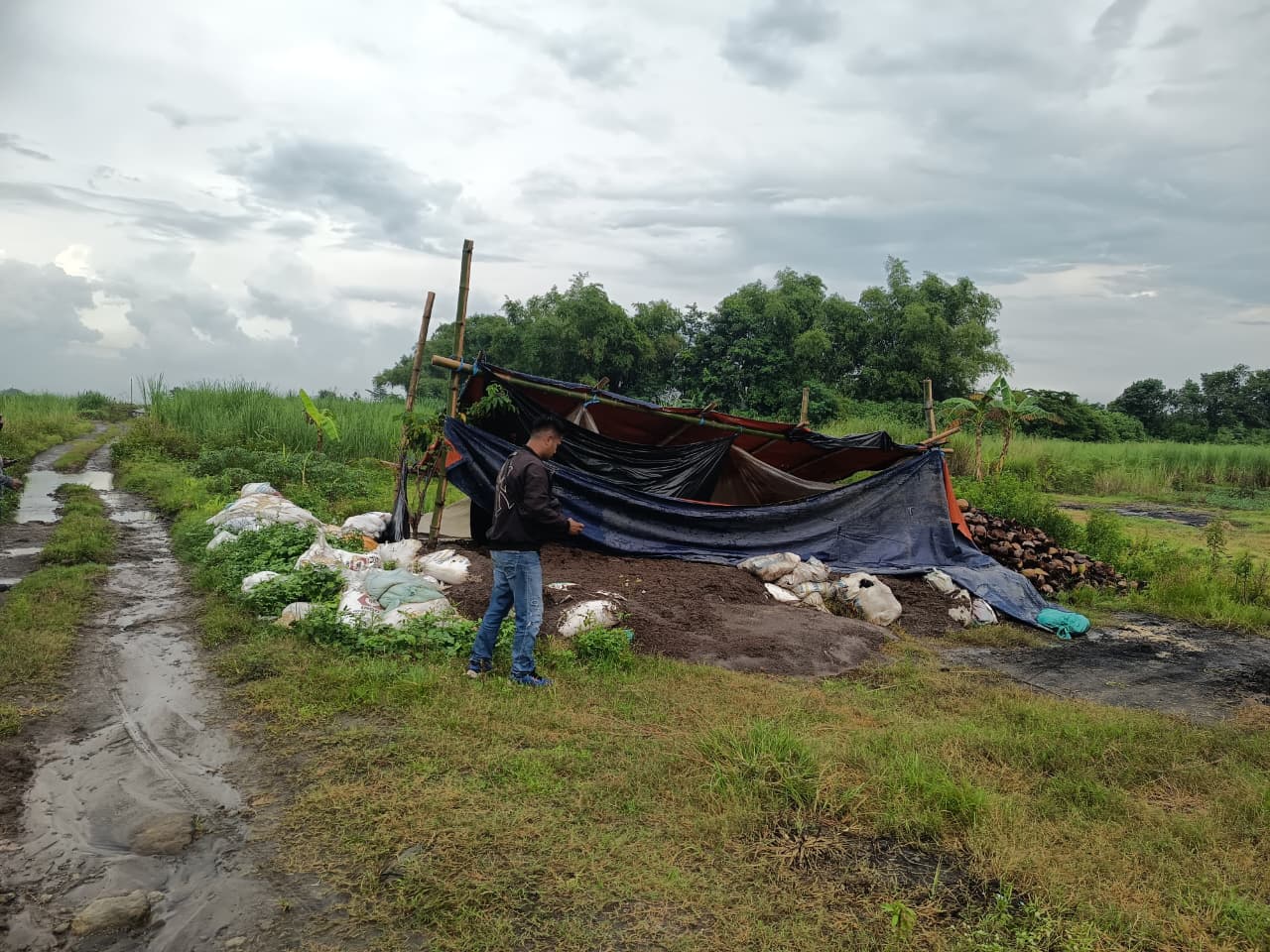 TIMBULKAN DAMPAK: Salah satu titik lokasi pembuangan limbah ternak di lahan bekas galian C di perbatasan Desa Wonodadi dan Desa Sawo, Kecamatan Kutorejo yang dikeluhkan masyarakat.