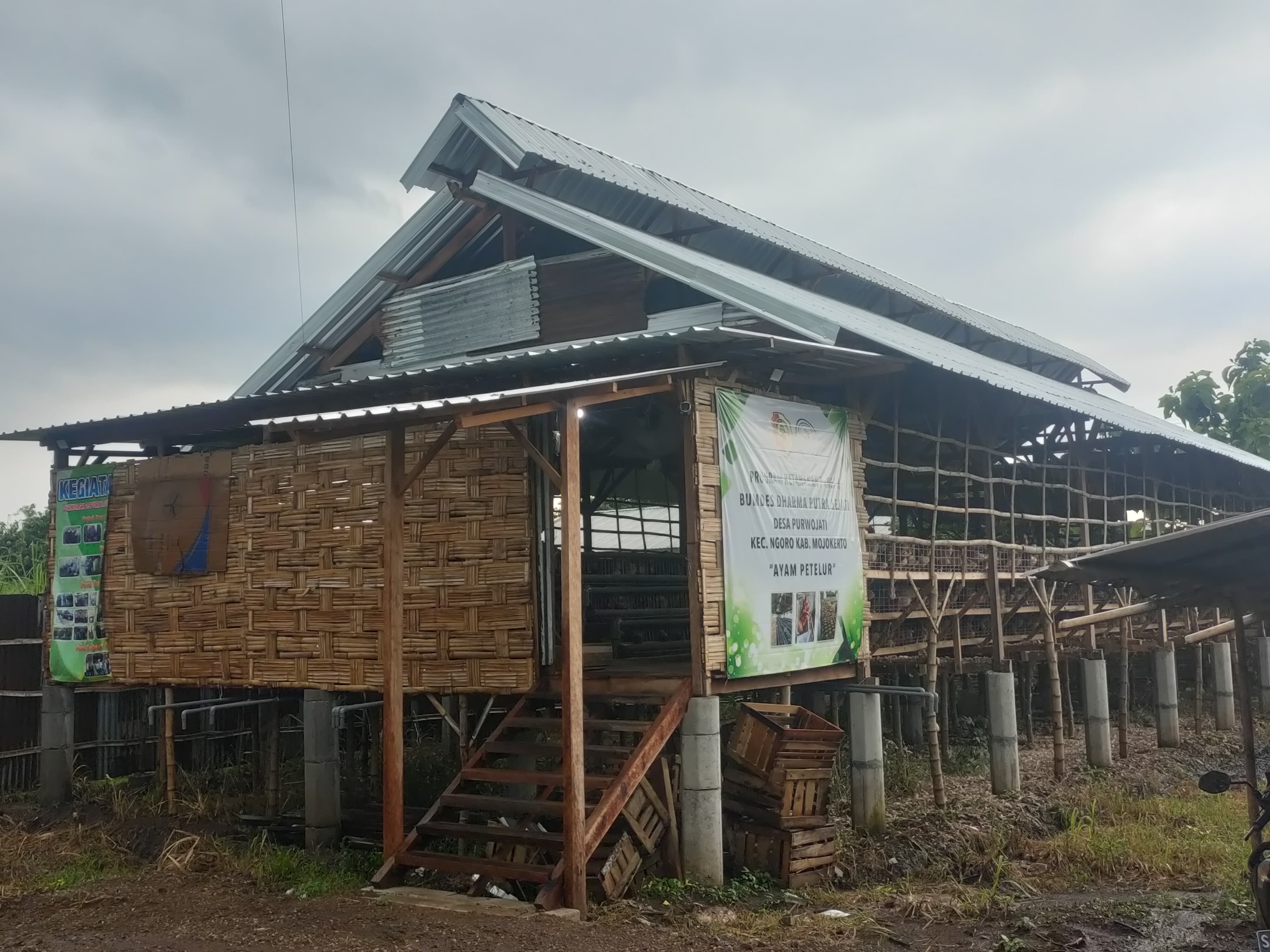 MELIMPAH: BUMDes Dharma Sejati Desa Purwojati, Kecamatan Ngoro membangun kandang ayam petelur untuk menjamin stok pangan warga.