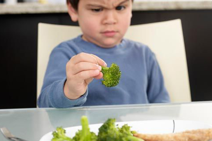 Sebagian besar anak mengalami masalah nafsu makan yang seringkali dikatakan picky eater