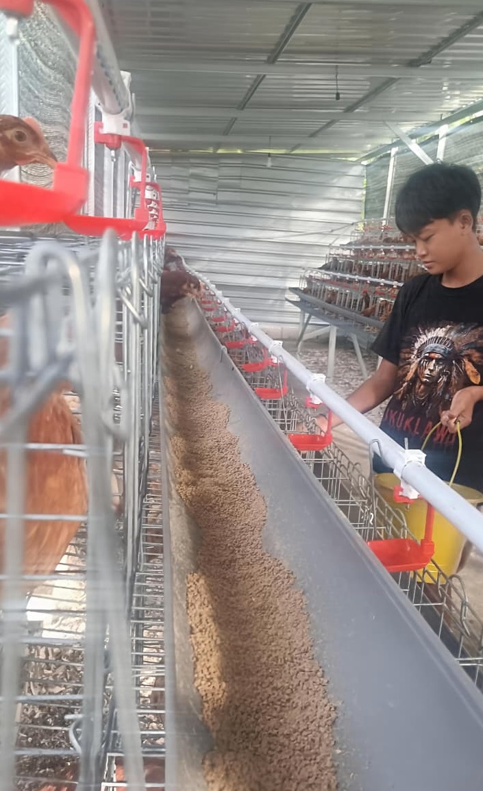 DIKEMBANGKAN: Peternakan ayam petelur di Desa Pulorejo, Kecamatan Dawarblandong, menjadi salah satu unit usaha yang mulai dirintis oleh BUMDes.