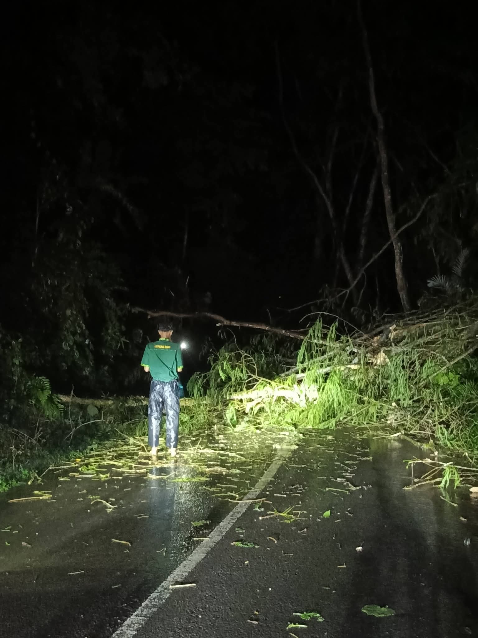 DAMPAK BENCANA: Akses jalan di Desa Jolotundo, Kecamatan Trawas, Kabupaten Mojokerto, yang sempat tertutup akibat pohon tumbang, Sabtu (17/1) lalu.